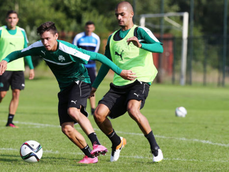 Προπόνηση και αποστολή ενόψει Πλατανιά | pao.gr