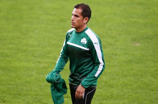 Έλειπε μια ενδεκάδα | pao.gr