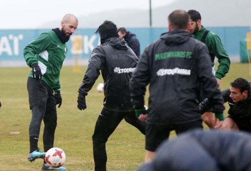 Προπόνηση και αποστολή για τη ρεβάνς Κυπέλλου με τη Λαμία | pao.gr