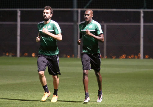 Όλοι μέσα ενόψει Άγιαξ! | pao.gr