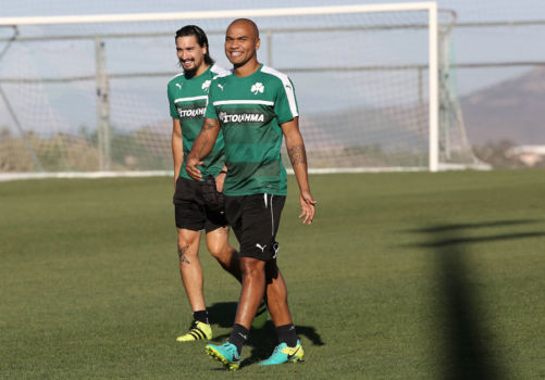 Στην τελική ευθεία για την πρεμιέρα | pao.gr