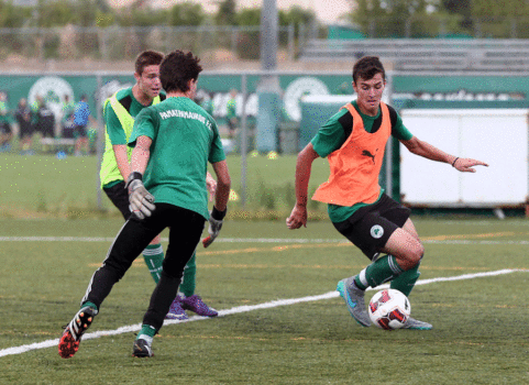 Πλούσια η αγωνιστική δράση για την Ακαδημία μας | pao.gr