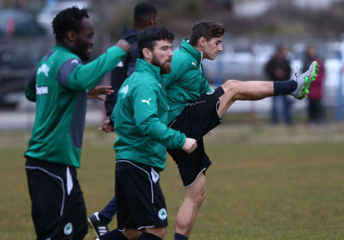 Έξω ο Πράνιτς, μέσα ο Μολέδο | pao.gr