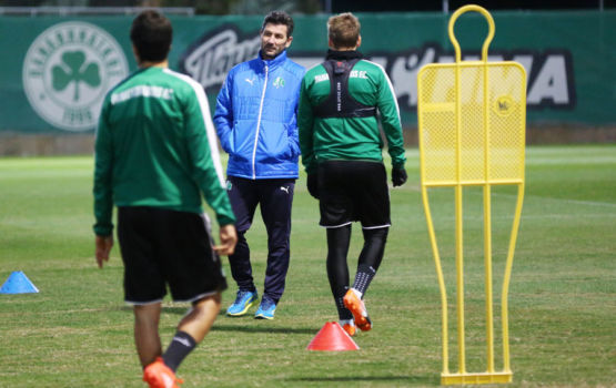 Προπόνηση σε δύο γκρουπ | pao.gr