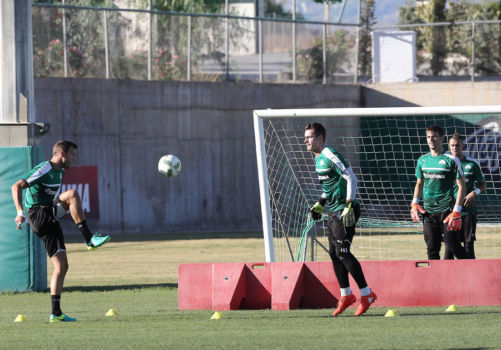 Νέο «θύμα» ο Κοτσόλης | pao.gr