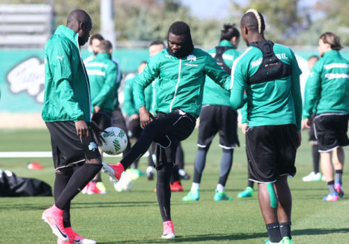 Βάρος στην επιθετική τακτική | pao.gr