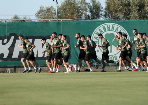 Εξάσκηση στις στατικές φάσεις | pao.gr