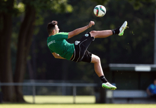 Donis moves to Ioannina | pao.gr