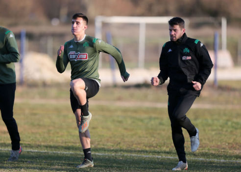 Ξεκίνησε με την ομάδα ο Αποστολάκης | pao.gr