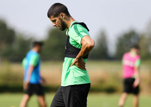 Μοναδική απουσία ο Ινσούα | pao.gr