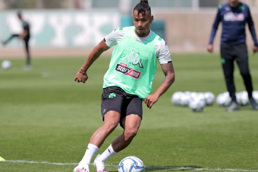 Πρόβλημα με Περέα | pao.gr