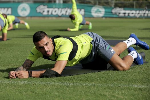 Κυκλοφορία και τελειώματα | pao.gr