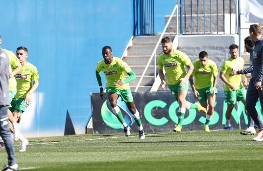 Μπήκαν Σανκαρέ και Σένκεφελντ | pao.gr