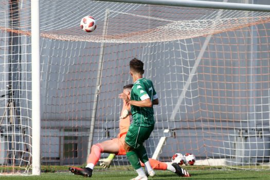 Μαγική εικόνα | pao.gr