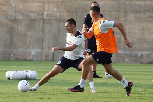 Υψηλοί ρυθμοί το πρωί, τακτική το απόγευμα | pao.gr