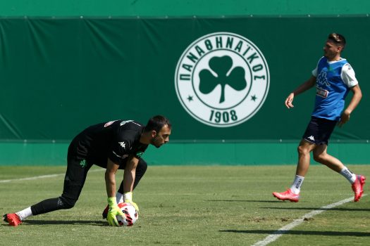 Δουλειά σε δύο γκρουπ | pao.gr