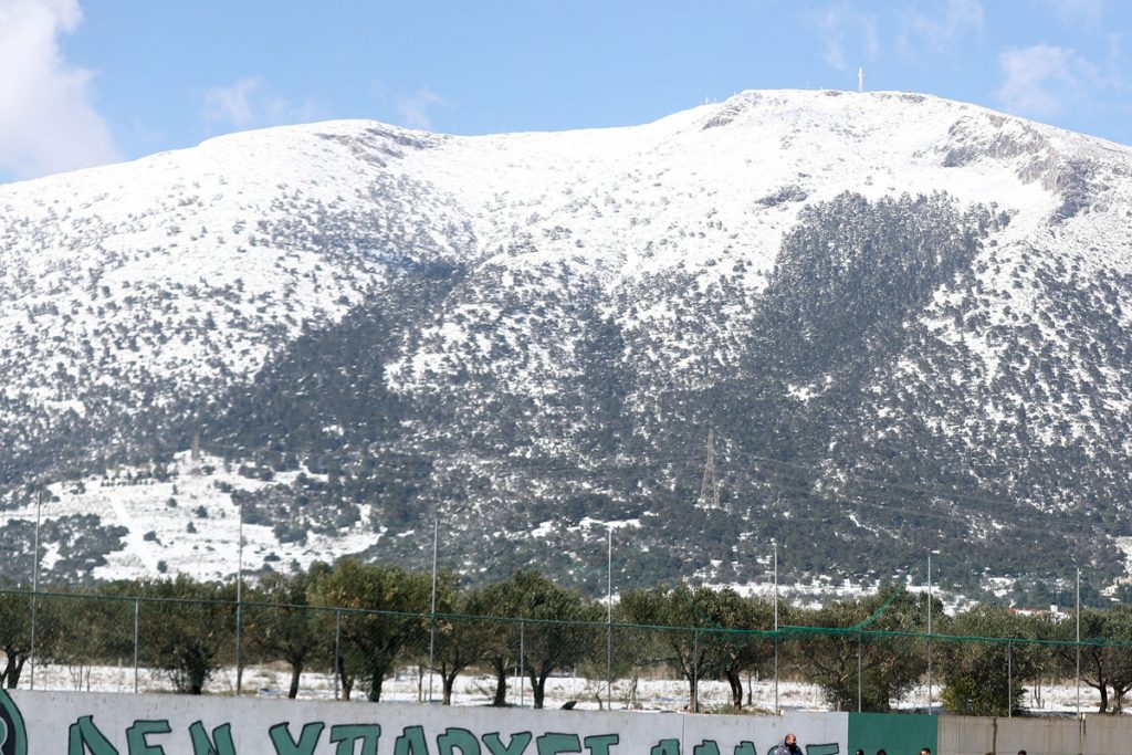 Αναβλήθηκε η προπόνηση | pao.gr