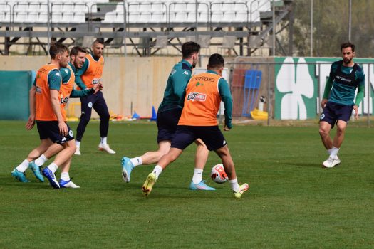 Κυκλοφορία μπάλας και παιχνίδι | pao.gr