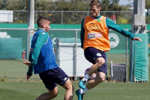 Εξάσκηση στα τελειώματα | pao.gr