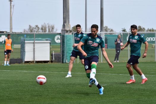 Προπόνηση και αποστολή για τον τελικό Κυπέλλου | pao.gr