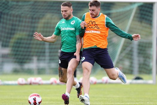 Δουλειά σε δύο άξονες | pao.gr