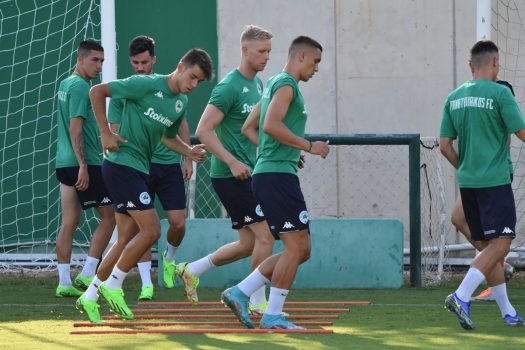 Εξάσκηση στα τελειώματα | pao.gr