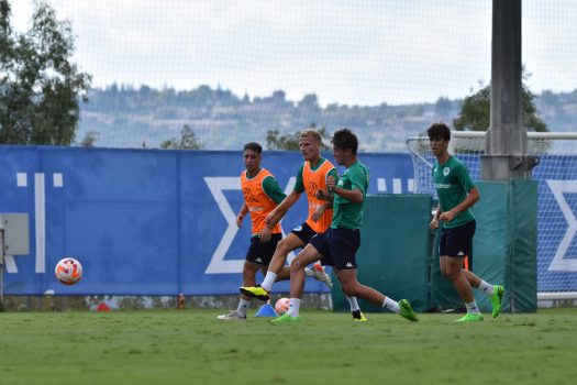 Πρώτη προπόνηση για Τρουιγιέ | pao.gr