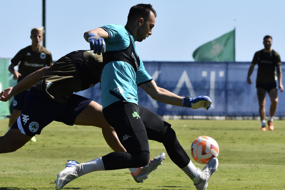 panathinaikos-fc-official-web-site