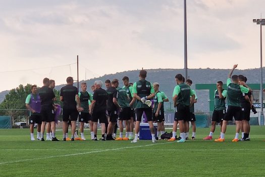 Συνδυαστικό πρόγραμμα | pao.gr