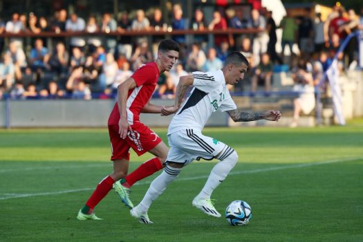 Παναθηναϊκός – Βιένερ Βικτόρια 4-0 / Φιλικό | pao.gr