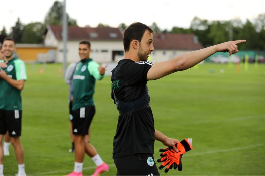 Παιχνίδι με εναλλαγή | pao.gr