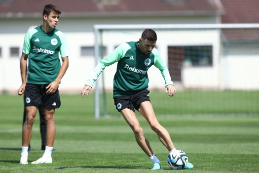 Γέμισαν οι προπονήσεις | pao.gr