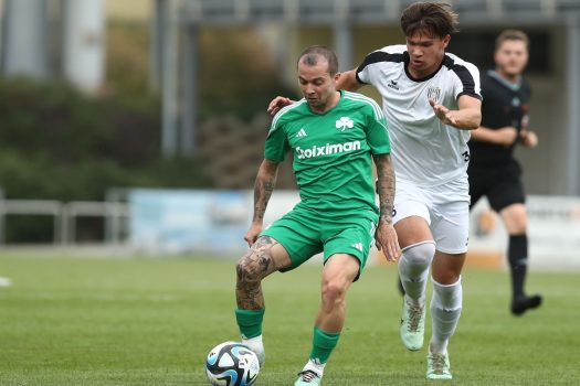 Η παρακάμερα του φιλικού με τη Ρογκάσκα | pao.gr