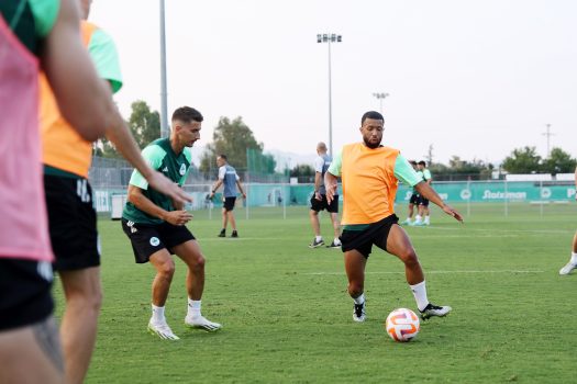 Πρώτη προπόνηση για τον Βιλένα | pao.gr