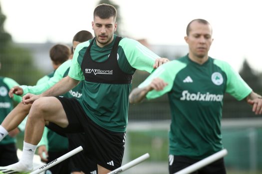 Επιστροφή Ιωαννίδη | pao.gr