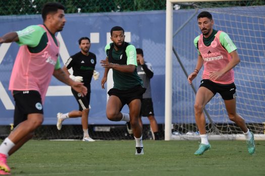 Το βάρος στην τακτική | pao.gr