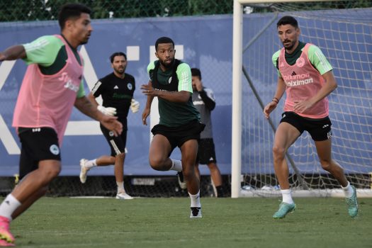 Ανάπτυξη παιχνιδιού και πρέσινγκ | pao.gr