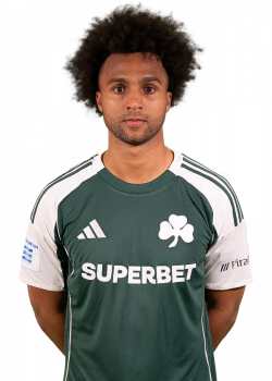 ΕΡΙΚ ΠΑΛΜΕΡ ΜΠΡΑΟΥΝ