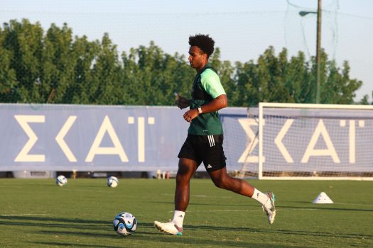 Πρώτη προπόνηση για τον Πάλμερ – Μπράουν | pao.gr