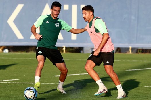 Κυκλοφορία μπάλας και τακτική | pao.gr