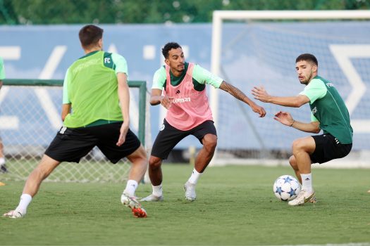 Έμφαση στην τακτική | pao.gr