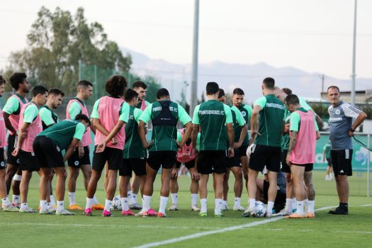 Εξάσκηση στις στατικές φάσεις | pao.gr