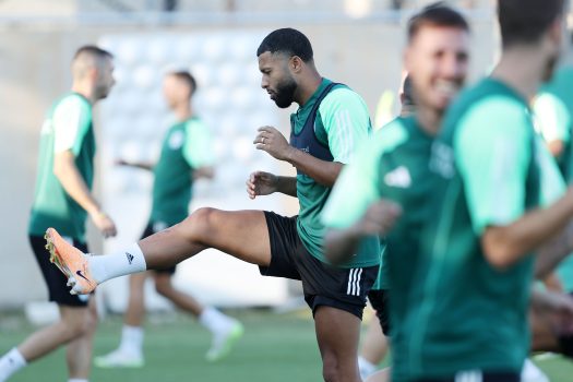 Ασκήσεις κυκλοφορίας μπάλας | pao.gr