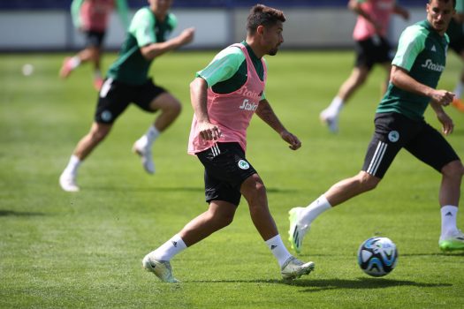 Ασκήσεις κυκλοφορίας μπάλας | pao.gr