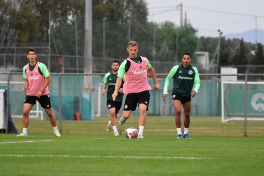 Κυκλοφορία μπάλας και παιχνίδι | pao.gr