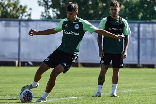 Κυκλοφορία μπάλας και παιχνίδι | pao.gr