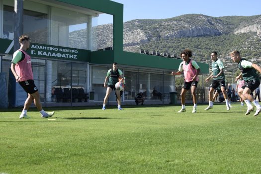 Τακτική και παιχνίδι | pao.gr