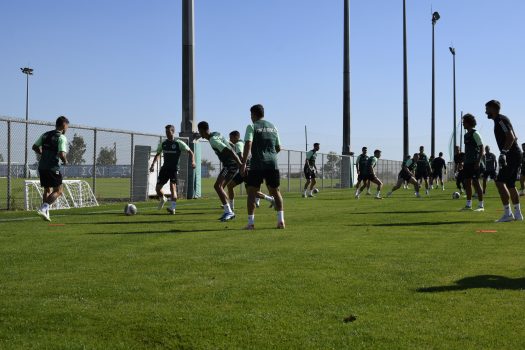 Μπήκε στο πρόγραμμα ο Βιλένα | pao.gr