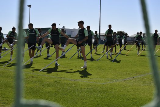 Πρόγραμμα σε δύο γκρουπ | pao.gr