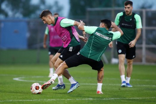 Προπόνηση και αποστολή για τον αγώνα κόντρα στην Κηφισιά | pao.gr